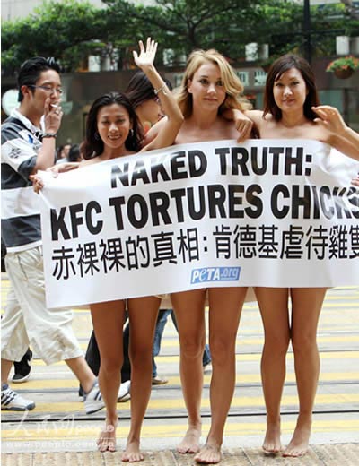肯德基KFC危害健康吗？庞大的鸡腿肉翅供求量来自哪里？